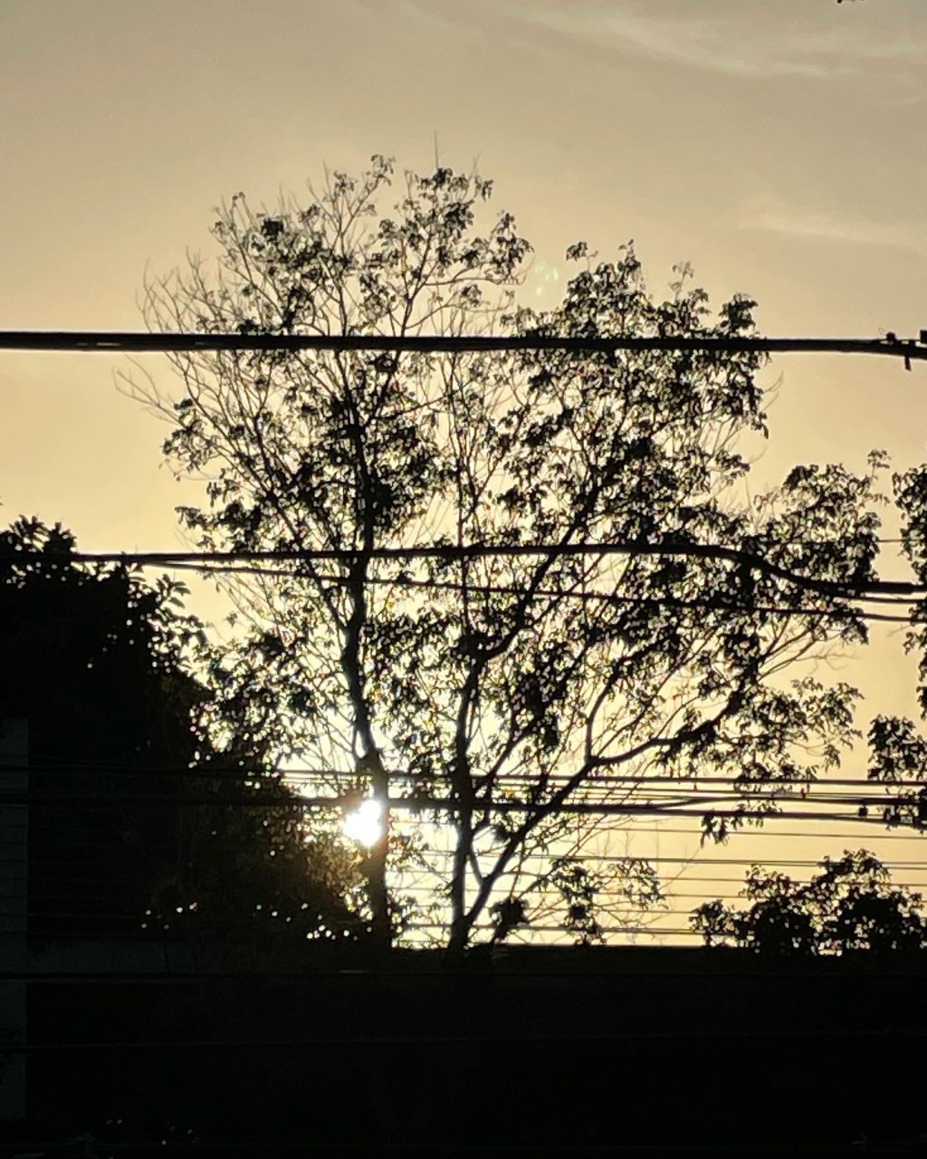 And so, it&nbsp;begins..