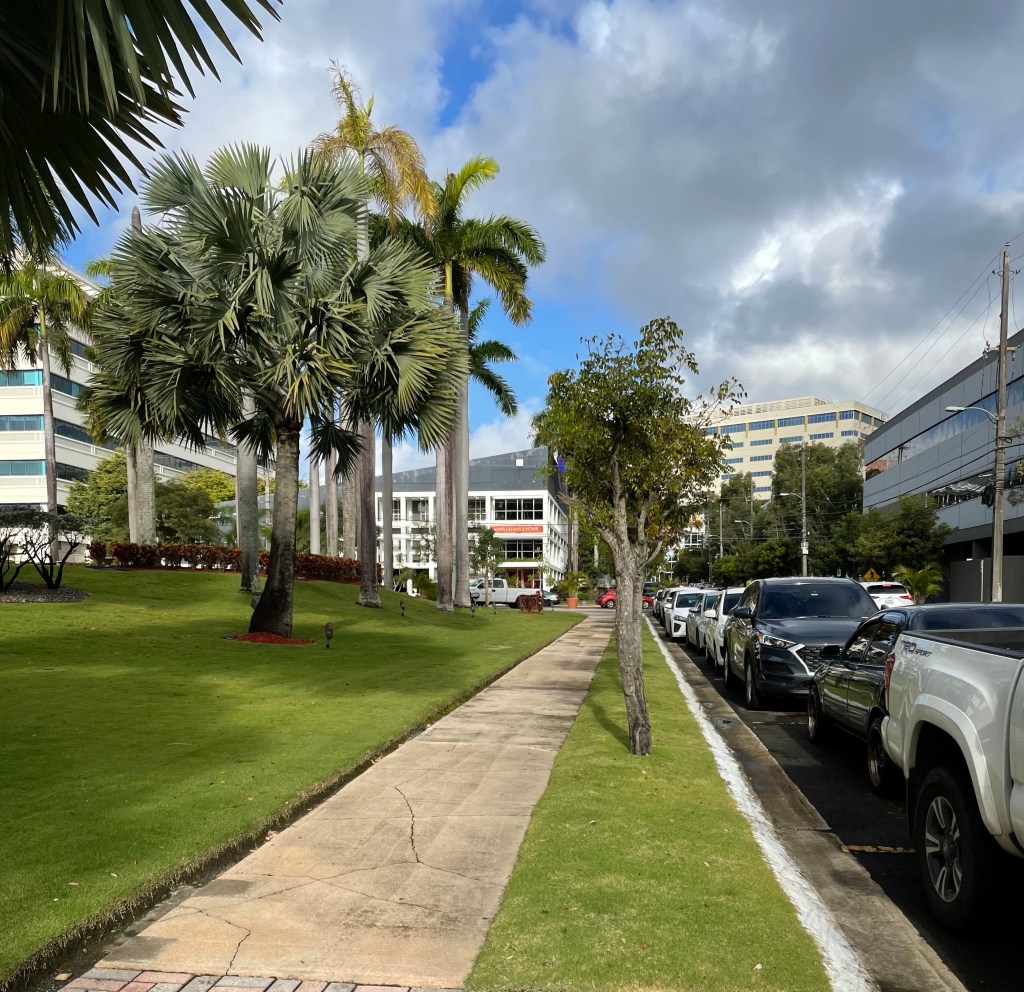 In the concrete jungle, the sidewalk&nbsp;talk