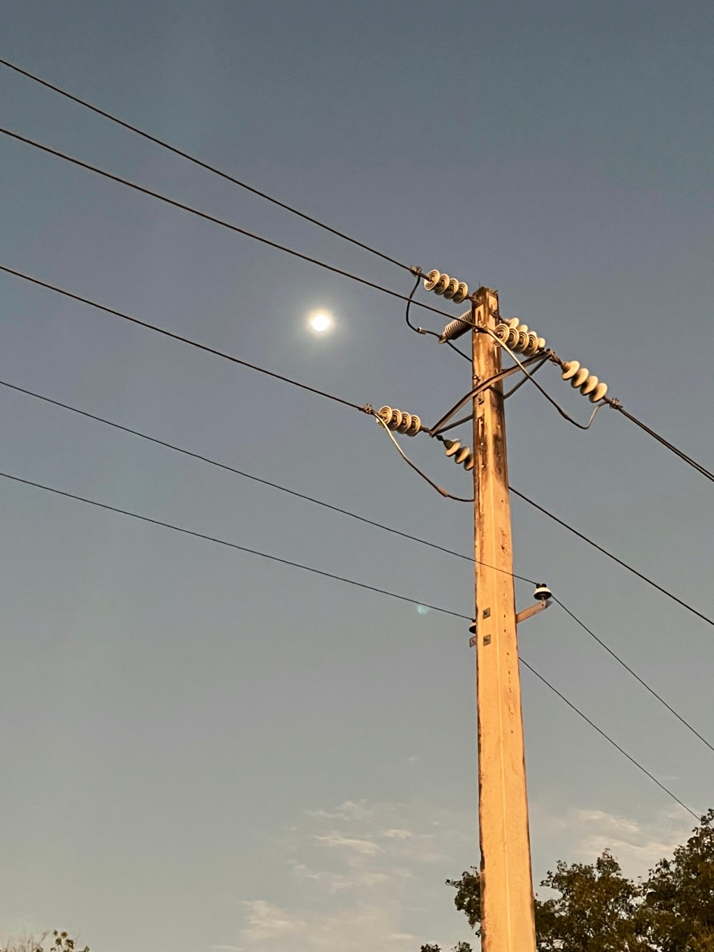 Wondering about new day posts and new&nbsp;projects