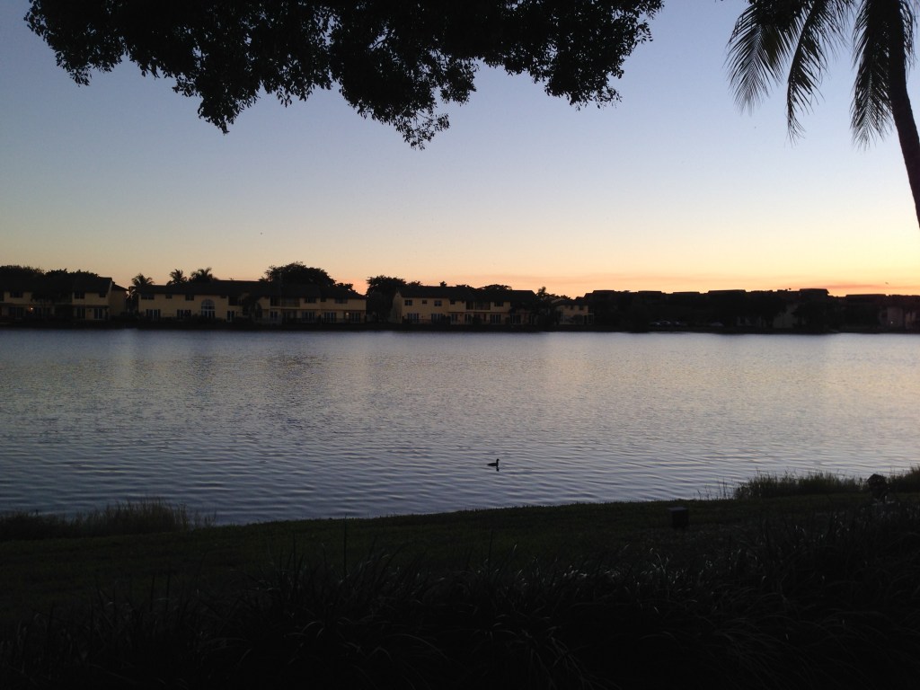 Remembering Ives Estates