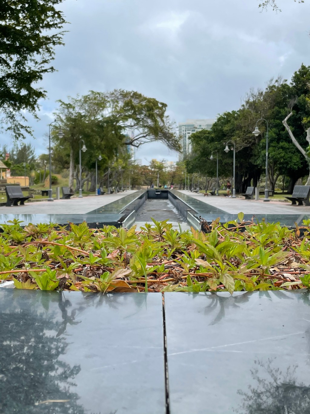 Reminiscing the Luis Muñoz Rivera Park&nbsp;: