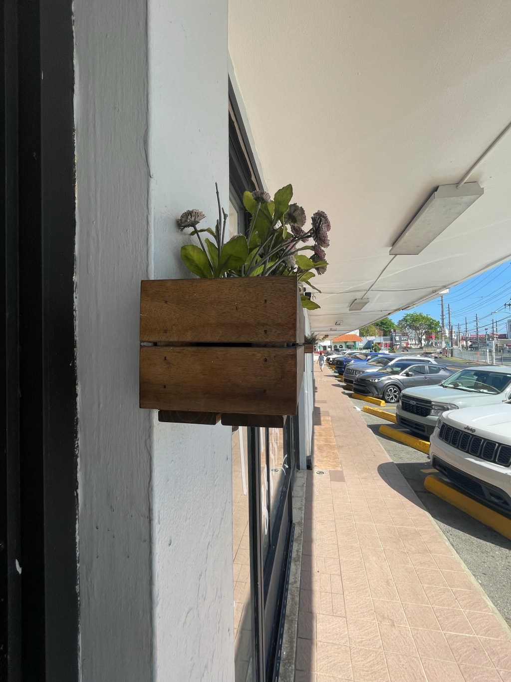 Pictures from April part&nbsp;deux