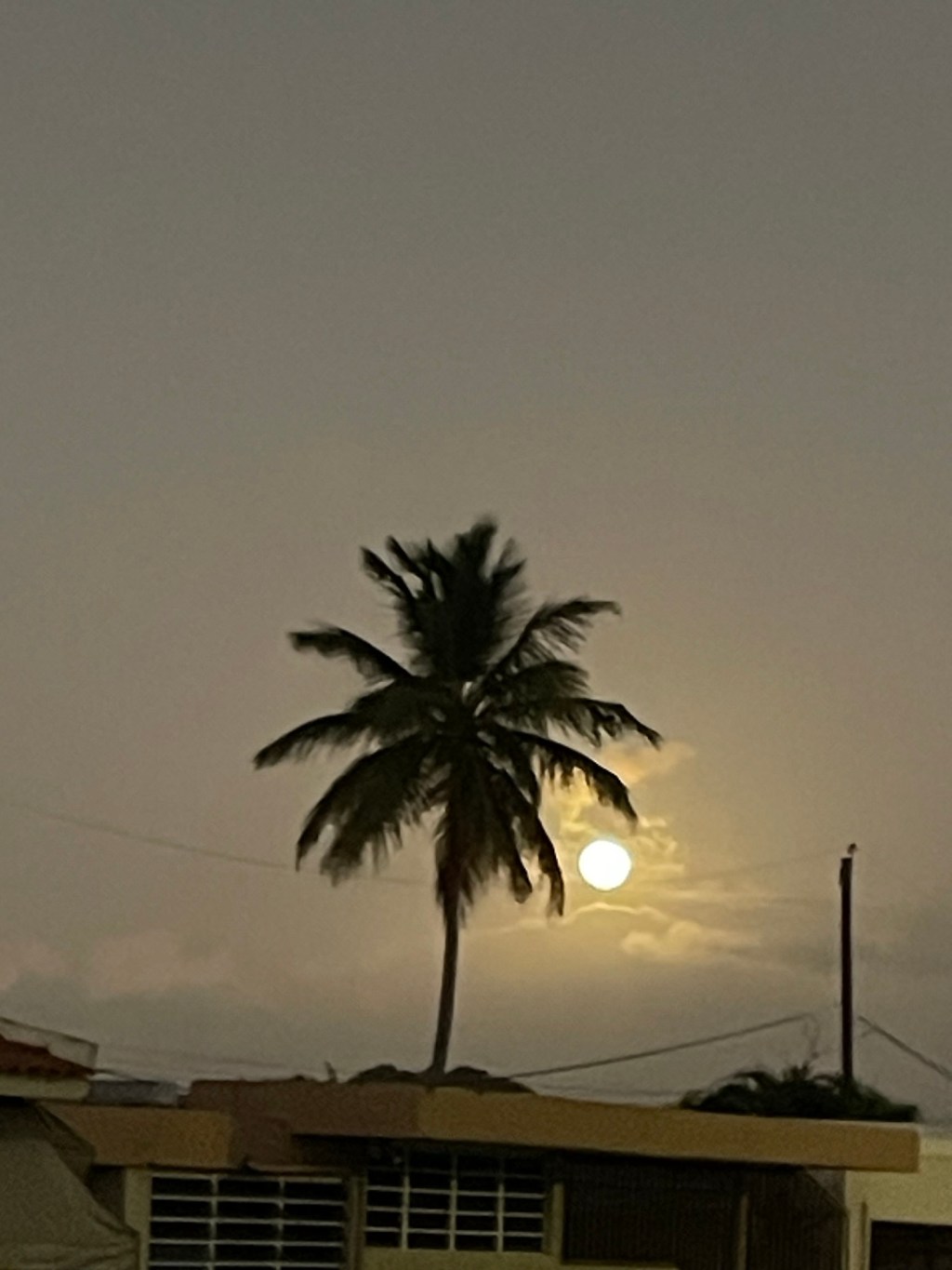 The Wolf Moon is&nbsp;here!