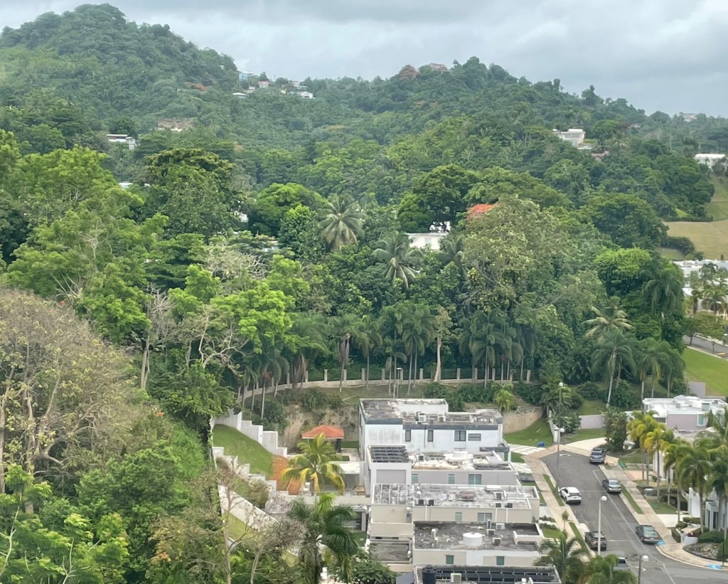 Healing process is something that takes&nbsp;time