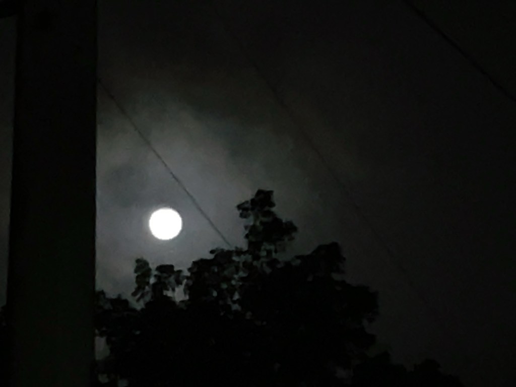 From the First Super Moon of&nbsp;2024