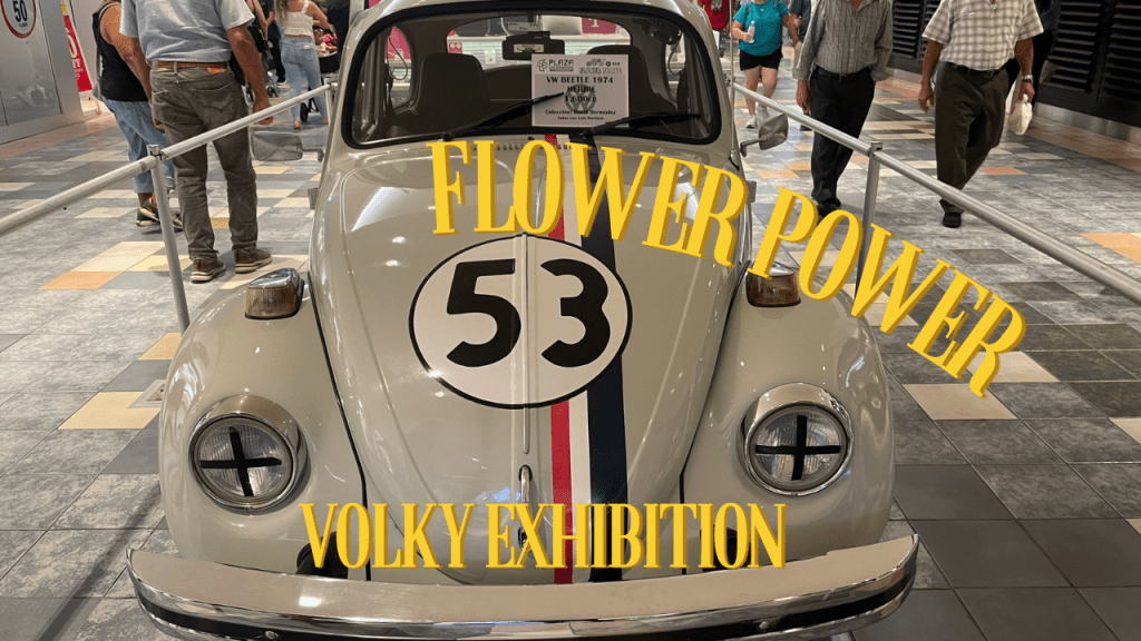 Flower Power Volky&nbsp;Exhibition