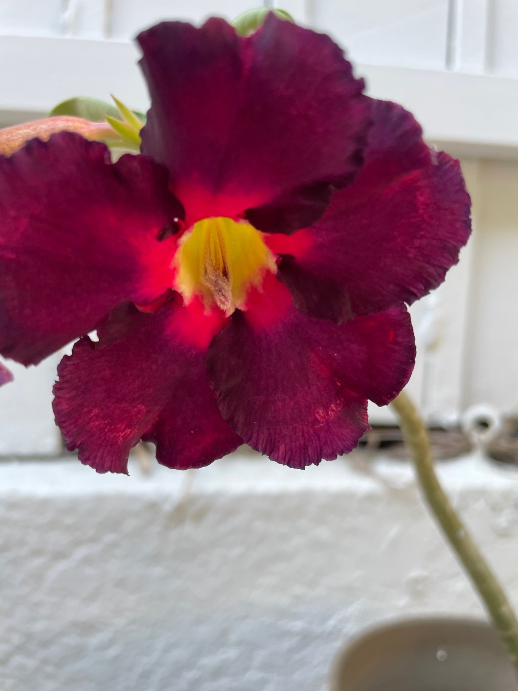 Flower passage (part&nbsp;1)