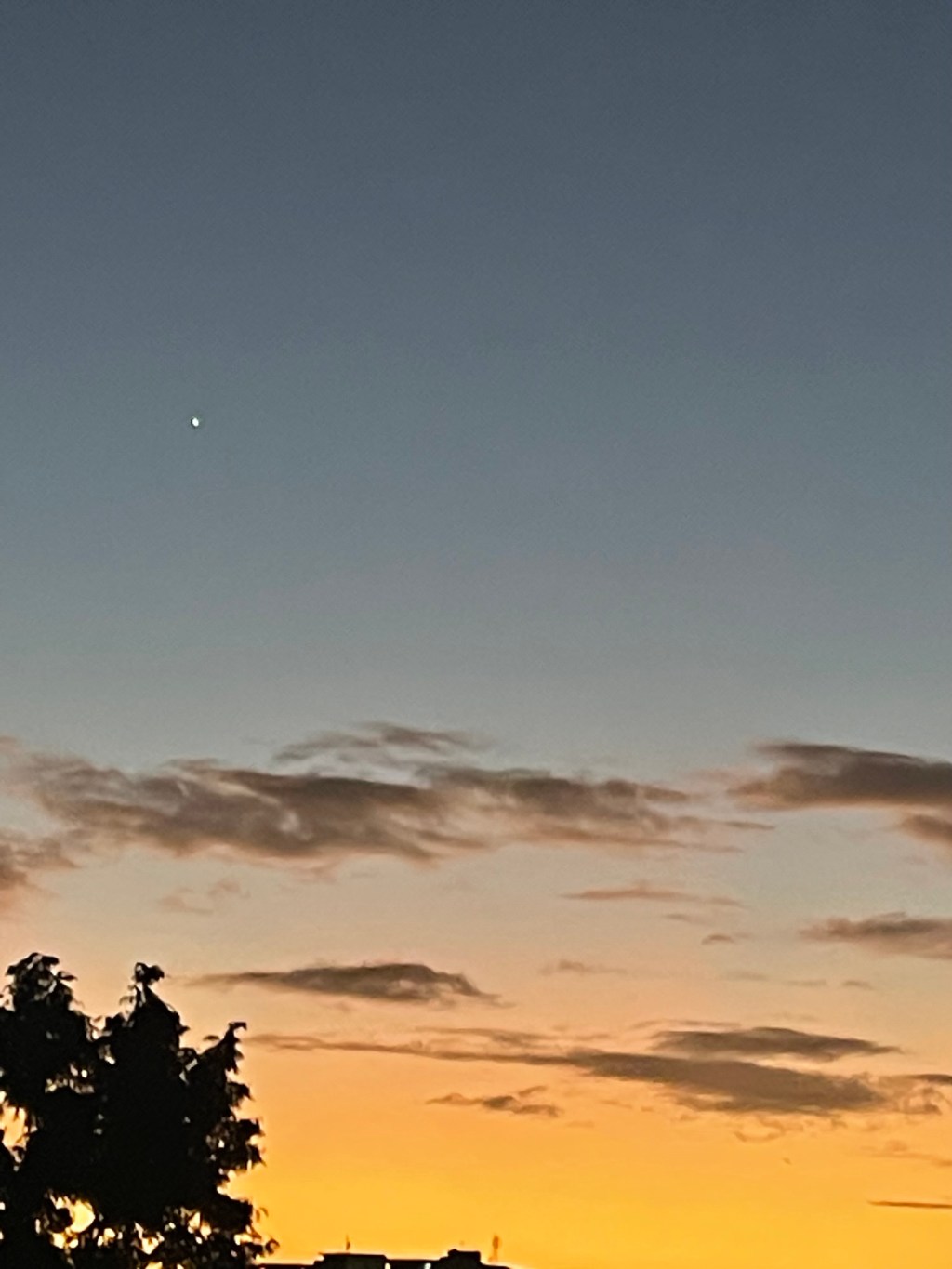 Welcome July! Let’s do the Heifogram for the&nbsp;first.